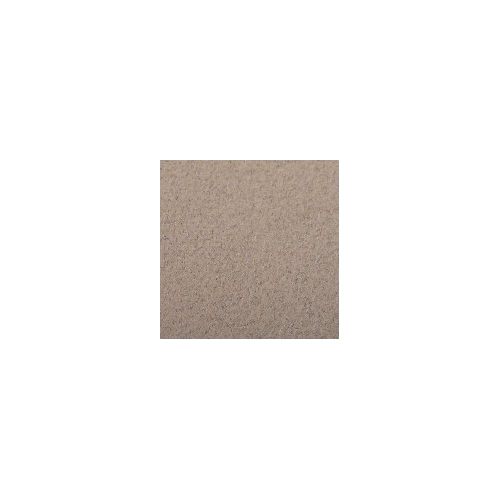 Feuille dessin 50x65cm 160g CHAMPAGNE (feuille) CLAIREFONTAINE - Z