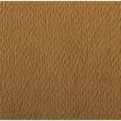 Feuille dessin 50x65cm 160g HAVANE (feuille) CLAIREFONTAINE - Z