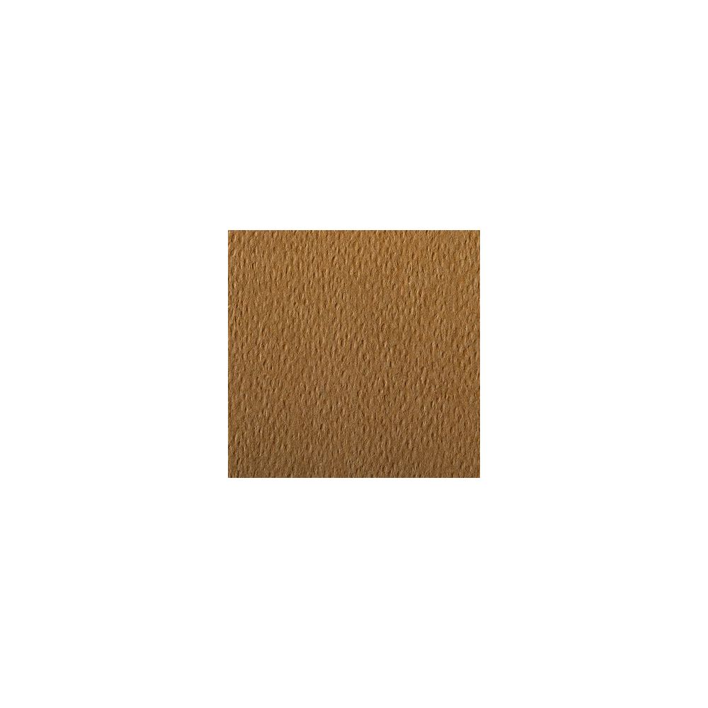 Feuille dessin 50x65cm 160g HAVANE (feuille) CLAIREFONTAINE - Z