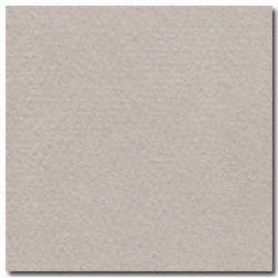 Feuille dessin 50x65cm 160g GRIS CLAIR (la feuille)  - Z