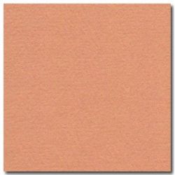 Feuille dessin 50x65cm 160g SAUMON (la feuille)  - Z