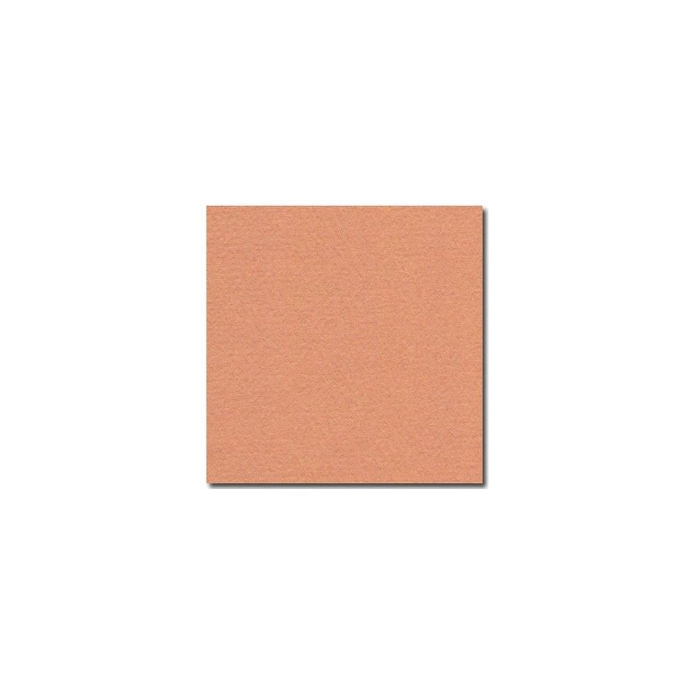 Feuille dessin 50x65cm 160g SAUMON (la feuille)  - Z