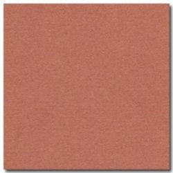 Feuille dessin 50x65cm 160g ROUILLE (la feuille)  - Z
