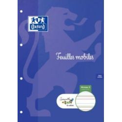 Feuillets mobiles DYS - 90gr - A4 Interligne 3mm - 100 pages BLANC