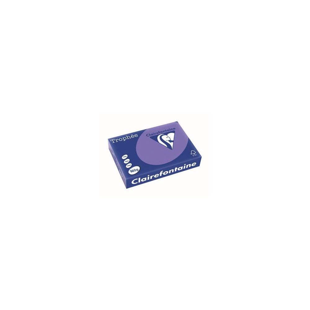 Rame A4 - 160g - Violine CLAIREFONTAINE (250 f.) - Ref: 1018