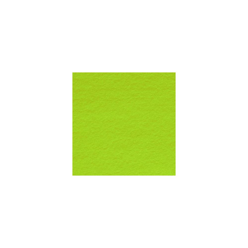 Feuille dessin 50x65cm 160g VERT AMANDE(la feuille) CLAIREF
