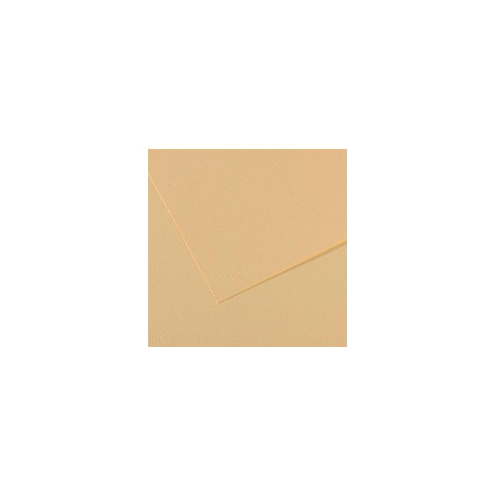 Feuille dessin 50x65cm 160g LICHEN (la feuille) CLAIREFONTAINE