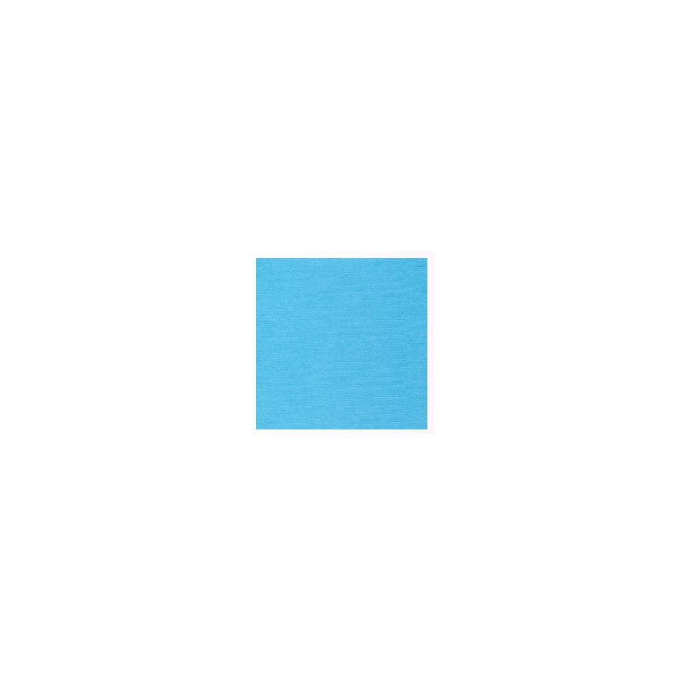 Feuille dessin 50 x 70cm - 210g - BLEU FRANCE (la feuille) - Z