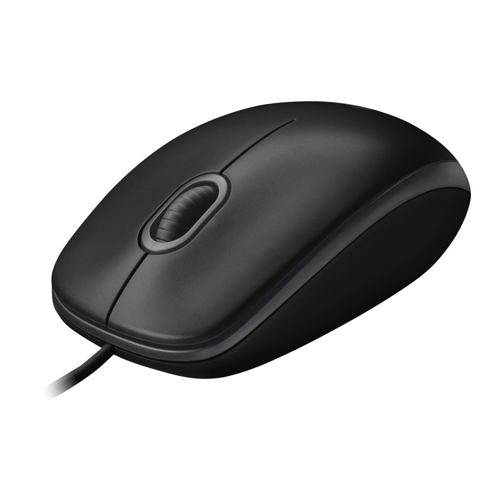 Logitech B100 souris Ambidextre USB Type-A Optique 800 DPI Logitech B100 souris Ambidextre USB Type-A Optique 800 DPI