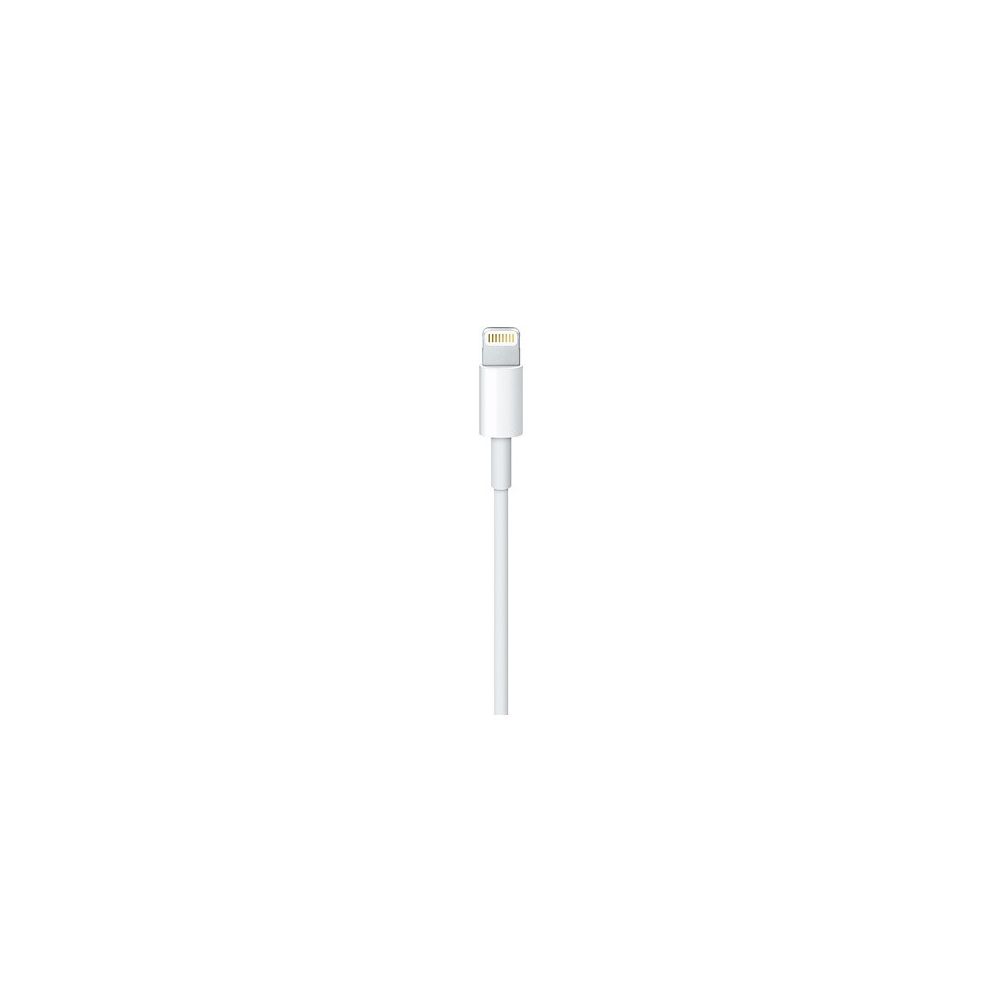 Apple MKQ42ZM 2 m Blanc