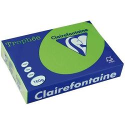 Rame A3 - 160g - Vert Menthe CLAIREFONTAINE (250 f.) - Ref: 1035
