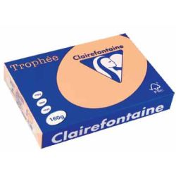 Rame A4 - 160g - Saumon CLAIREFONTAINE (250 f.) - Ref: 1104