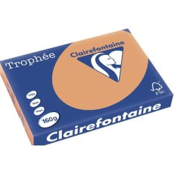Rame A3 - 160g - Caramel CLAIREFONTAINE (250 f.) - Ref:1109