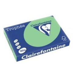 Rame A3 - 160g - Vert Nature CLAIREFONTAINE (250 f.) - Ref: 1119