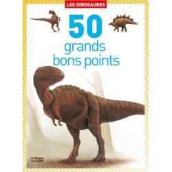 Editions Lito 01816 livre Dinosaures Français Couverture rigide 50 pages