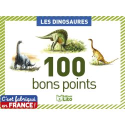 Editions Lito 01925 livre Dinosaures Français Couverture rigide 100 pages